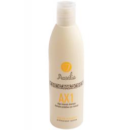 Фото - Шампунь для окрашенных волос Delta Studio Auxilia AX 1 Shampoo с защитой от солнца и морской соли, фото 1, цена